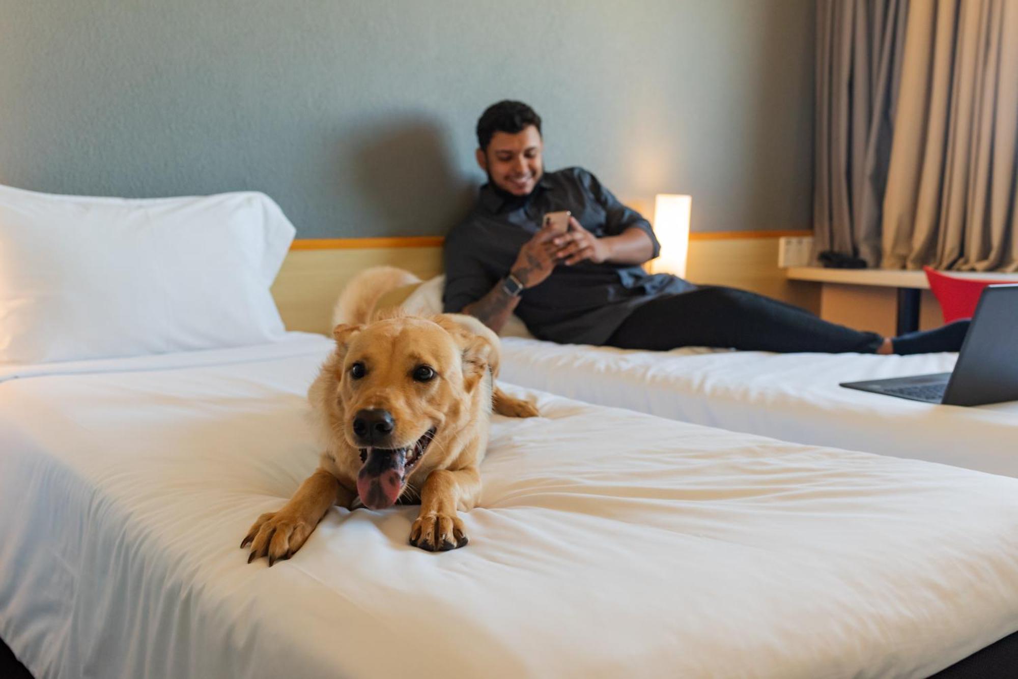Ibis Criciuma Otel Criciuma  Dış mekan fotoğraf